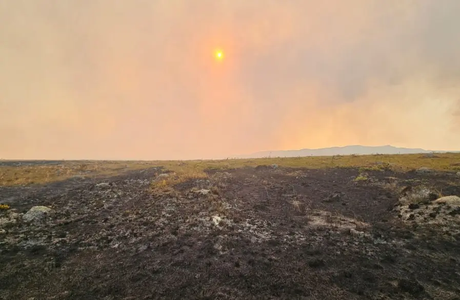 incêndios na chapada dos veadeiros