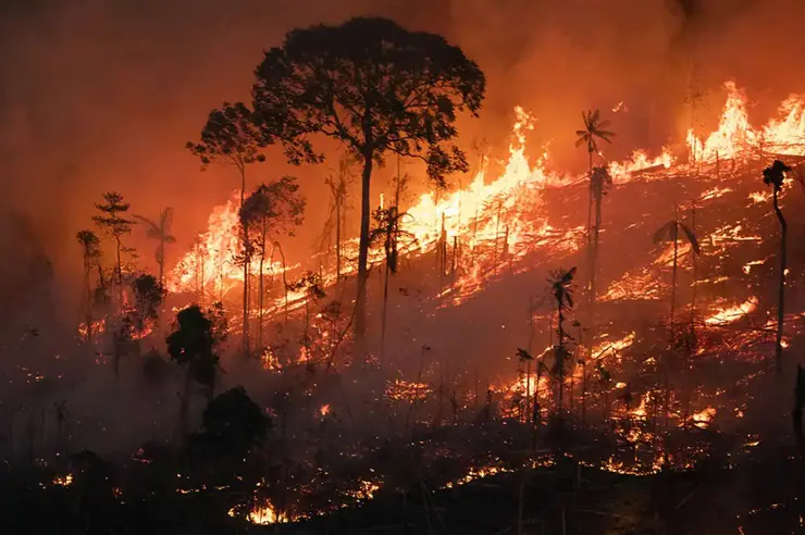 Dados consideram o número de incêndios, extensão das áreas atingidas e emissões de carbono | Foto: Reprodução/Amazônia Real