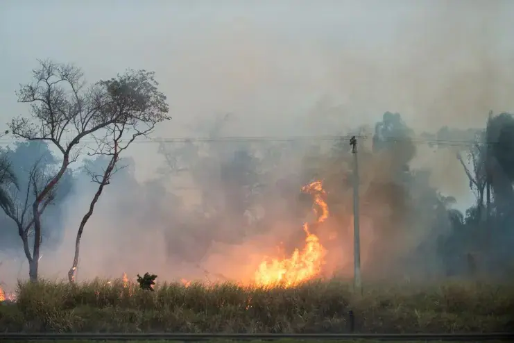 Incêndios se espalham perto da Rodovia dos Bandeirantes, na região de Campinas | Foto: Vincent Bosson/Estadão Conteúdo