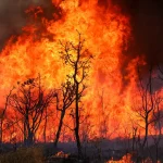A Polícia Civil do Distrito Federal montou uma força-tarefa para investigar os possíveis incêndios criminos | Foto: Reprodução/Agência Brasil