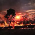 Foto de queimada na região do Cerrado | Foto: Inpe/Divulgação