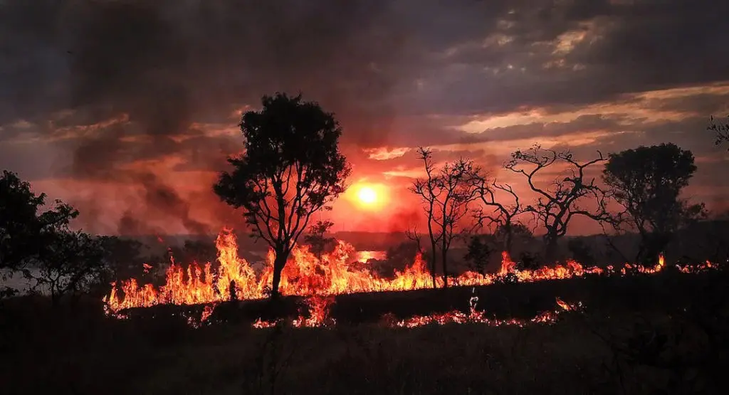 Foto de queimada na região do Cerrado | Foto: Inpe/Divulgação