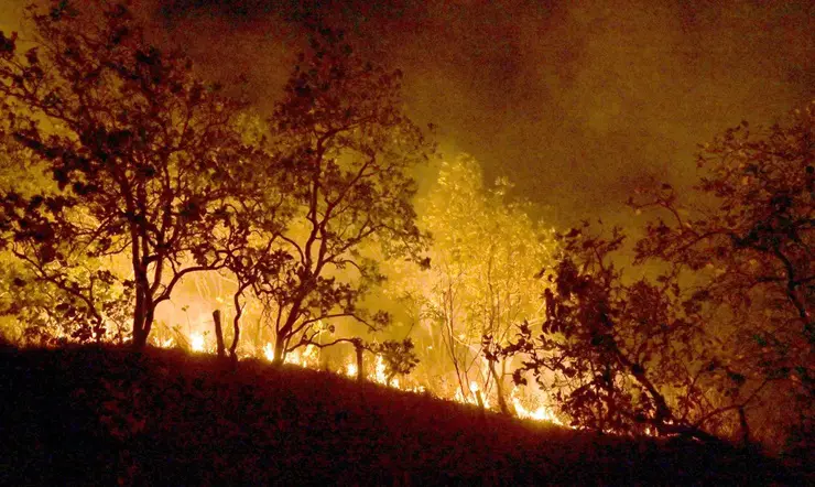 Queimadas se espalham por todo o Brasil | Foto: Jader Souza/AL Roraima