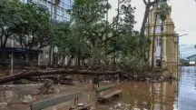 Calamidade pública: área do Rio Grande do Sul depois de enchente: ruas alagadas, lamaçal e queda de árvore