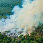 Área queimada aumenta 150% em 2024