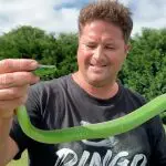 Graham Dinkelman manuseia um exemplar da mambra-verde-oriental, espécie de cobra altamente venenosa | Foto: Reprodução/YouTube