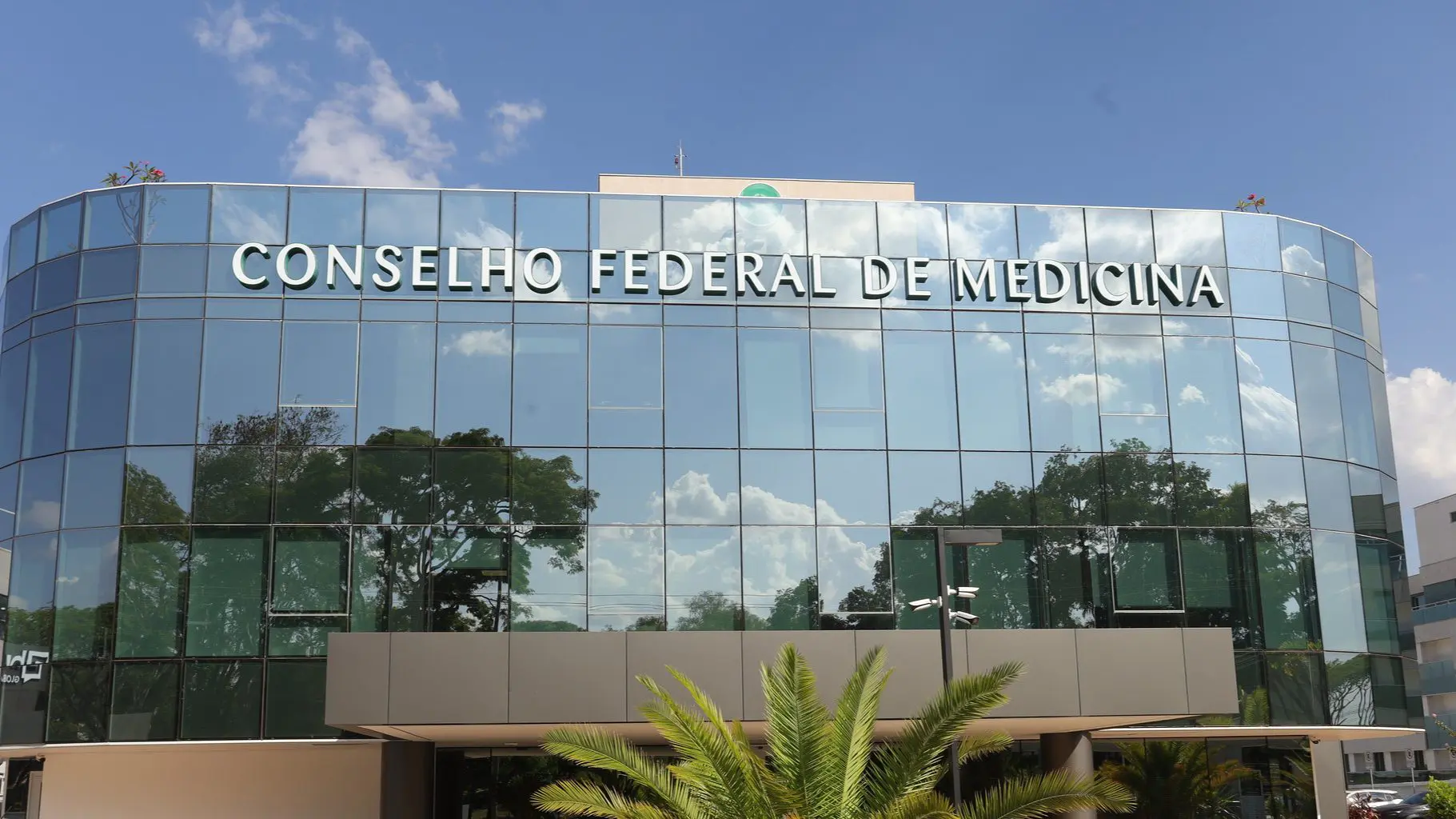 "Não é apenas uma recaída na batalha da cloroquina", disse a médica, em artigo recente | Foto: Divulgação/Conselho Federal de Medicina