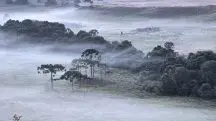 Frente fria deixa SP e RJ com clima de inverno