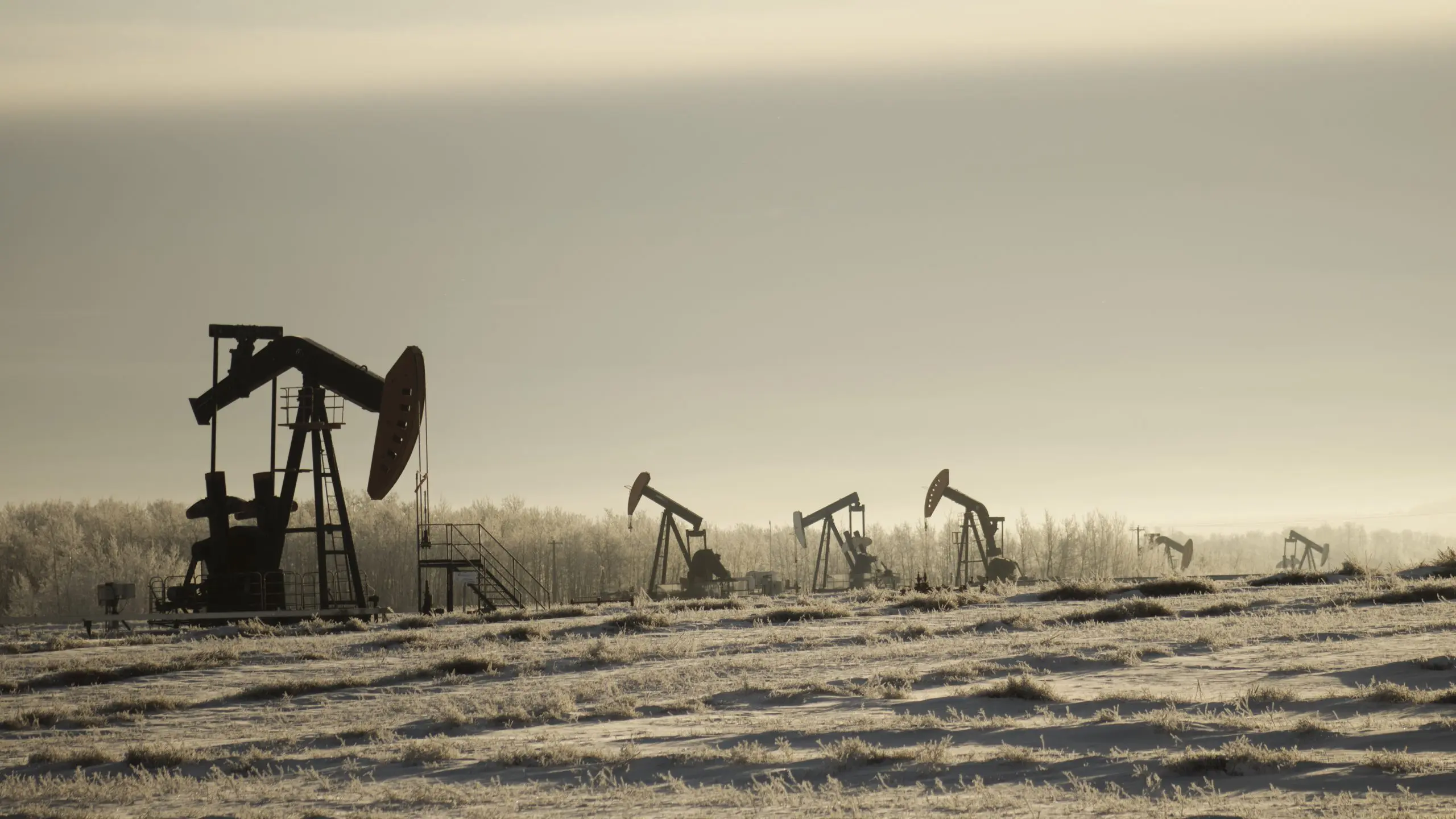 A Opep, que hoje reúne grandes produtores de petróleo no mundo, foi fundada em 1960, em Bagdá, no Iraque | Foto: Reprodução/Wirestock/Freepik