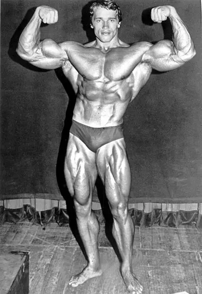 Schwarzenegger começou a praticar fisiculturismo na adolescência e venceu seu primeiro prêmio "Mister Universo", aos 20 anos | Foto: Reprodução/Wikimedia Commons