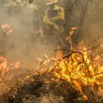 Incêndios florestais