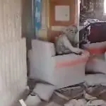 Último momento Yahya Sinwar Hamas