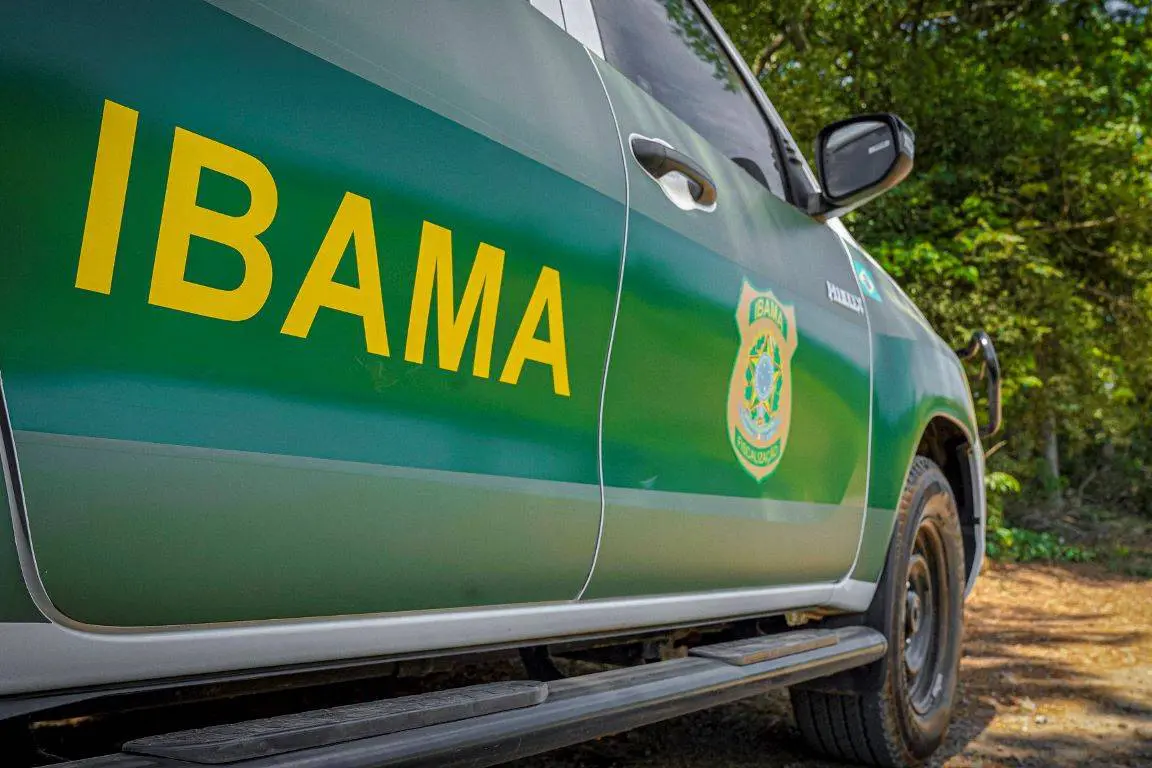 Viatura do Ibama