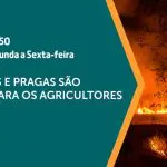 a força do agro - 01102024 - queimadas