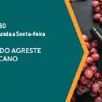 a força do agro 22102024 vinhos