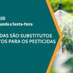 a força do agro - 24102024