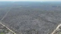 Operação Smoke: PF prende responsáveis por desmatamento e incêndios em terras da União