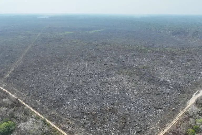 Operação Smoke: PF prende responsáveis por desmatamento e incêndios em terras da União