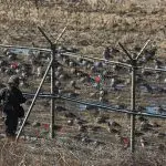 Soldados das forças sul-coreanas vasculham trecho de fronteira com a vizinha Coreia do Norte: provocações e clima de tensão permanente na Ásia | Foto: Reprodução/Redes sociais