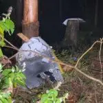 Destroços do avião foram encontrados em mata fechada | Foto: Reprodução/TV Vanguarda