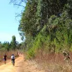 Floresta Nacional de Brasília
