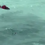 Furacão Milton provocou ondas que chegaram a até 8 metros no mar da Flórida: isopor teria salvado náufrago de barco que virou na região | Foto: Reprodução/Redes sociais