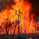 focos de incêndio queimadas no brasil