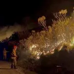Fogo atingiu a vegetação do Parque Nacional do Itatiaia, que fica entre os Estados do Rio de Janeiro e Minas Gerais | Foto Divulgação/Bombeiros do RJ