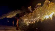 Fogo atingiu a vegetação do Parque Nacional do Itatiaia, que fica entre os Estados do Rio de Janeiro e Minas Gerais | Foto Divulgação/Bombeiros do RJ