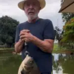 lula peixe