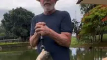 lula peixe