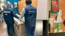 Momento em que a polícia internacional da Europa invade e prende estelionatários de uma bodega clandestina: mais de € 2 milhões em vinhos falsos | Foto: Reprodução/Twiiter/X