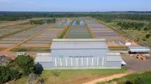 A Peixes da Amazônia S.A. foi criada como uma parceria público-privada; Lula participou da inauguração, em 2011 | Foto: Reprodução/Redes sociais
