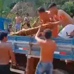 Em plena floresta, índios retiram da carroceria de um caminhão um suporte com dezenas de tartarugas: contrabando é alvo há anos de fiscalização por parte do Ibama | Foto: Reprodução/Twitter/X