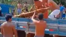 Em plena floresta, índios retiram da carroceria de um caminhão um suporte com dezenas de tartarugas: contrabando é alvo há anos de fiscalização por parte do Ibama | Foto: Reprodução/Twitter/X