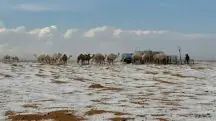 Neve no deserto da Arábia Saudita | Foto: Saudi Press Agency/Divulgação