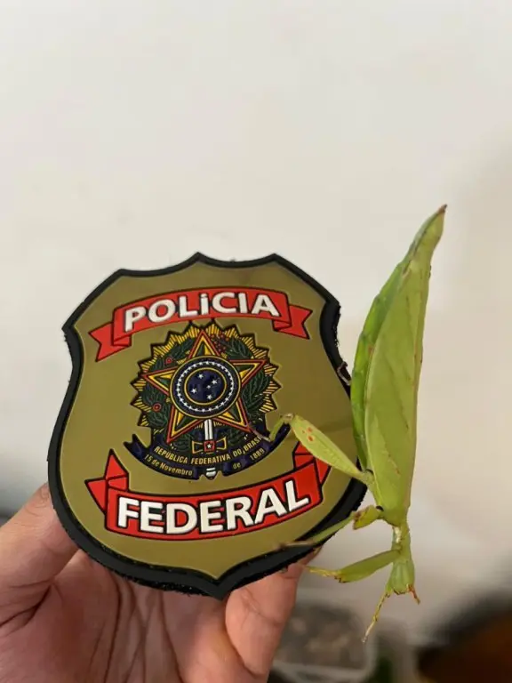 Polícia Federal
