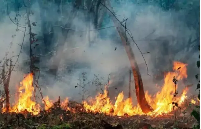 Incêndio atinge a Terra Indígena TI Anambé, no nordeste do Pará | Foto: Reprodução/Redes sociais