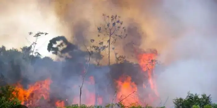 Incêndio atinge a Terra Indígena TI Anambé, no nordeste do Pará | Foto: Reprodução/Redes sociais
