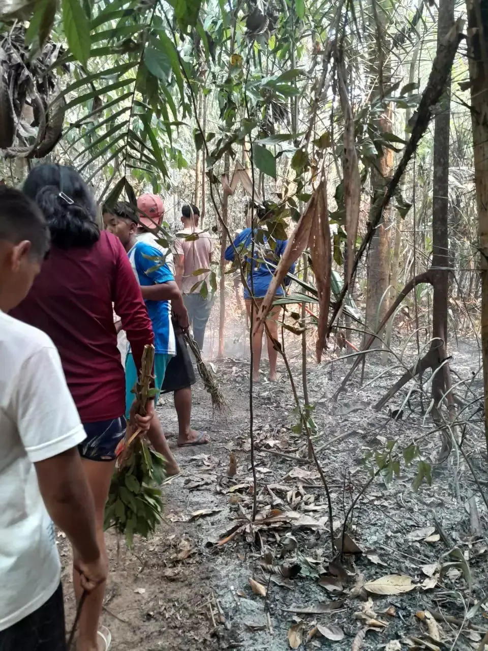 Incêndio atinge a Terra Indígena TI Anambé, no nordeste do Pará | Foto: Reprodução/Redes sociais