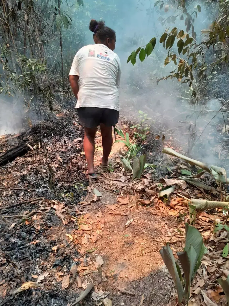 Incêndio atinge a Terra Indígena TI Anambé, no nordeste do Pará | Foto: Reprodução/Redes sociais
