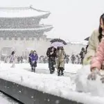 Crianças brincam em meio à nevasca na Coreia do Sul, registrada em novembro de 2024 | Foto: Reprodução/Twitter/X/@FoxWeather