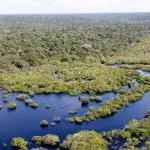 A Amazônia é alvo de cobiça de ONGs estrangeiras | Foto: Fabio Rodrigues-Pozzebom/Agência Brasil