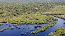 A Amazônia é alvo de cobiça de ONGs estrangeiras | Foto: Fabio Rodrigues-Pozzebom/Agência Brasil