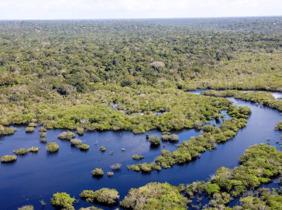 A Amazônia é alvo de cobiça de ONGs estrangeiras | Foto: Fabio Rodrigues-Pozzebom/Agência Brasil
