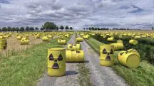 Bactéria pode ajudar a reduzir efeitos de acidentes nucleares