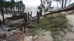 tsunami