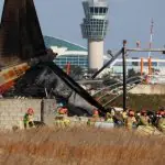Inicialmente, a aeronave tentou pousar na pista número 1, do aeroporto na Coreia do Sul, mas foi avisada sobre o risco de colisão com as aves | Foto: Reprodução/Twitter/X