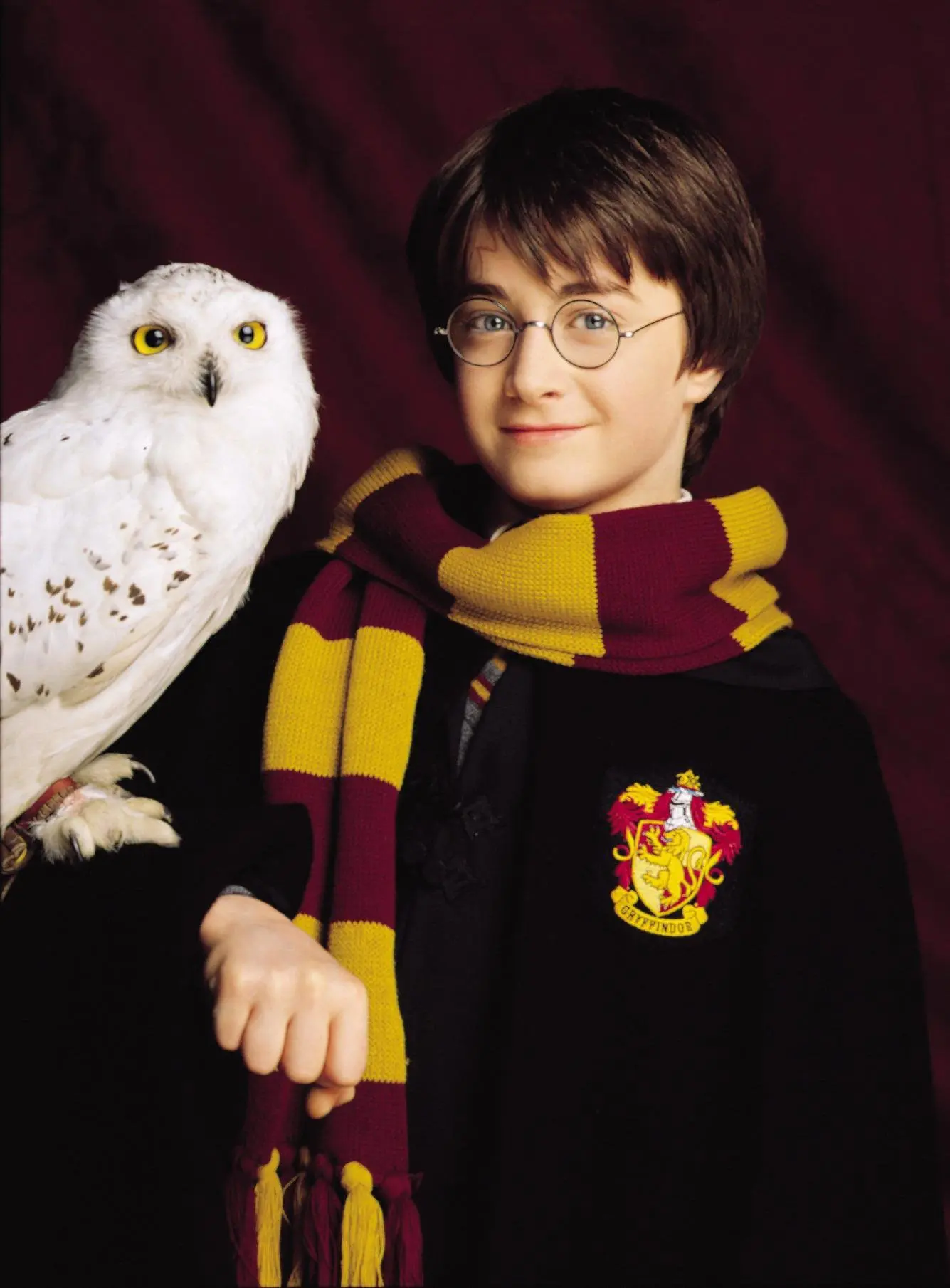 Edwiges, a coruja de Harry Potter, representou um papel simbólico em sua trajetória | Foto: Reprodução/Redes sociais