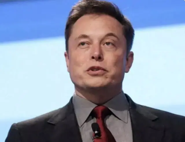Musk crise jornal alemão AfD